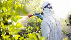 Read more about the article The Importance of Using The Right Fertilizer For Lemon Trees